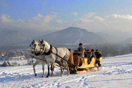 Kulig Zakopane - Tarant
