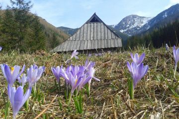 Dolina Jaworzynka - doliny - dolina - Tatry