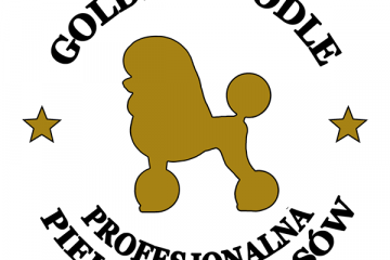 Salon Golden Poodle - usługi -  - Nowy Targ