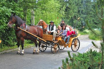 Kulig letni Jędruś - kuligi - kulig - Zakopane