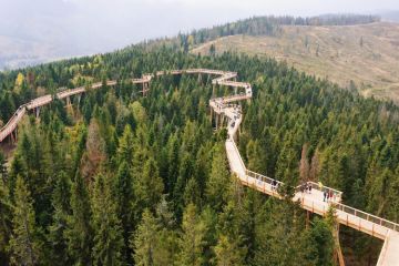 Spacer w koronach drzew z biurem Majer - góry - góry - Zakopane