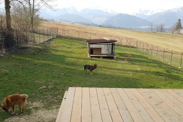 Hotel dla zwierząt Zoo - usługi -  - Zakopane