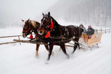 Kulig Butorowy Gubałówka - Zakopane - kuligi - kulig - Zakopane