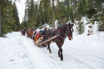 KULIGI.pl - Góralskie kuligi w Zakopanem - kuligi - kulig - Zakopane