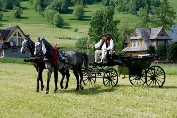 Kulig letni Zakopane - kuligi - kulig - Zakopane