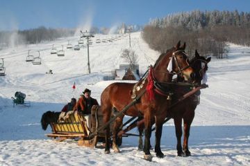 Kulig w Zakopanem - kuligi - kulig - Zakopane