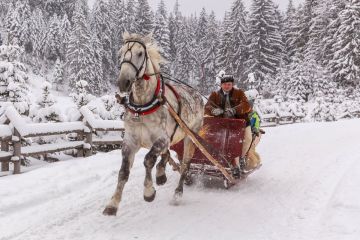 Kulig zimowy z biurem Trio Travel - kuligi - kulig - Zakopane