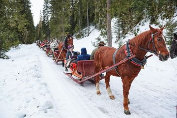 Kuligi dla Dzieci - SANIE.pl - szkoły narciarskie - szkoła narciarskia - Zakopane