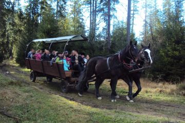 Kulig letni z biurem Trio Travel - kuligi - kulig - Zakopane