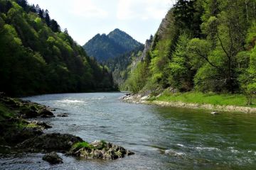 Rafting pontonowy na Dunajcu Pomian Travel - rejsy i spływy - rejs | spływ - Zakopane