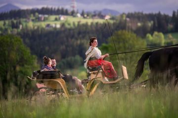 Kulig i piknik góralski TatryExpress - kuligi - kulig - Zakopane