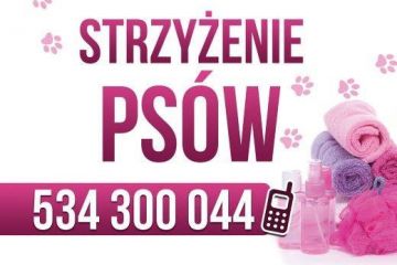 Salon pielęgnacji zwierząt Twój Piękny Pies - usługi -  - Zakopane