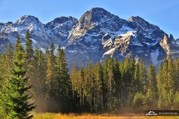 Mięguszowiecka Przełęcz pod Chłopkiem - szczyty - szczyt - Tatry