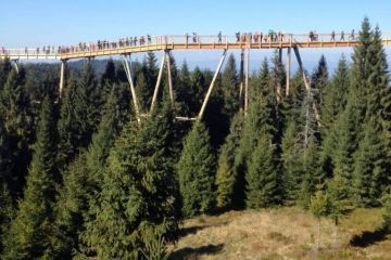 Spacer w koronach drzew i Tricklandia z biurem Strama - góry - góry - Zakopane