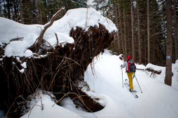 Trasa skitourowa z Kuźnic na Halę Gąsienicową - skitury - skitourowe zakopane - Zakopane