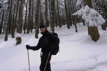 Trasa skitourowa z Doliny Małej Łąki na Wyżnie Stanikowe Siodło - skitury - skitourowe zakopane - Kościelisko