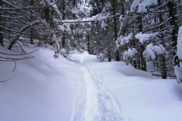 Trasa skitourowa z Doliny Strążyskiej Na Przełęcz w Grzybowcu - skitury - skitourowe zakopane - Zakopane