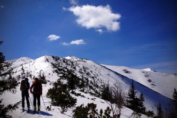 Trasa skitourowa z Dol. Chochołowskiej na Wołowiec 2 - skitury - skitourowe zakopane - Witów