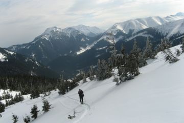 Trasa skitourowa z Dol. Chochołowskiej na Wołowiec - skitury - skitourowe zakopane - Witów