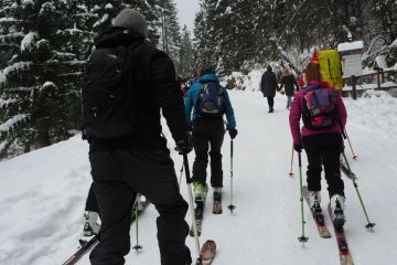 Trasa skitourowa z Kuźnic na Polanę Kalatówki - skitury - skitourowe zakopane - Zakopane