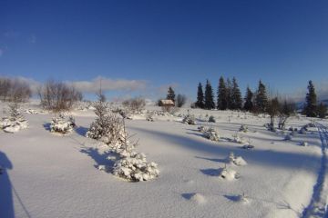 Trasa skitourowa z Witowa na Magurę Witowską - skitury - skitourowe zakopane - Witów