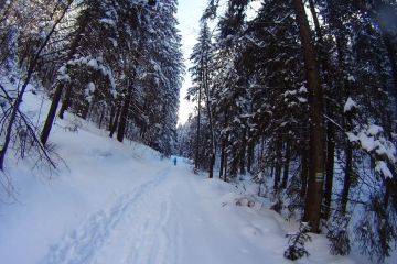 Trasa skitourowa z Doliny Małej Łąki do Doliny Tomanowej - skitury - skitourowe zakopane - Kościelisko