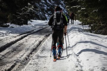 Trasa z Dol. Chochołowskiej na Trzydniowiański Wierch - skitury - skitourowe zakopane - Witów