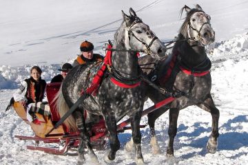 Kulig zimowy Jędruś pod Skocznią - kuligi - kulig - Zakopane